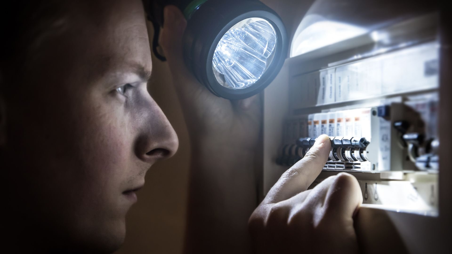 Scientist examines samples under bright light in laboratory equipment